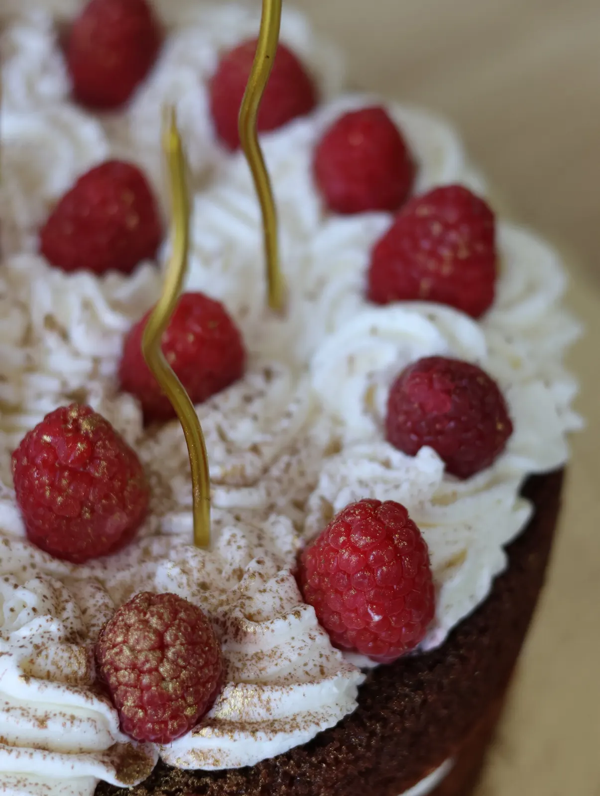 Bolo de chocolate com framboesas e velas de aniversário